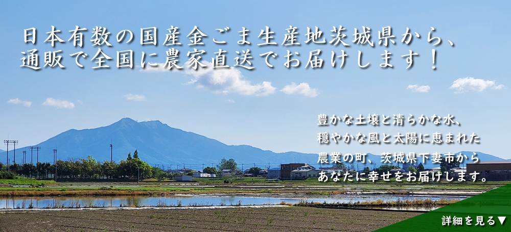 日本有数の国産金ごま生産地茨城県から、通販で全国に農家直送でお届けします！豊かな土壌と清らかな水、穏やかな風と太陽に恵まれた茨城県下妻市から、あなたに幸せをお届けします。