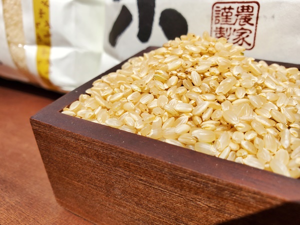 茨城県産コシヒカリ米の玄米が升に入っている写真です。