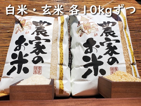 茨城県産コシヒカリ白米・玄米各10kgの通販お届けセットです。減農薬栽培で育てた安心安全のお米をお楽しみください。